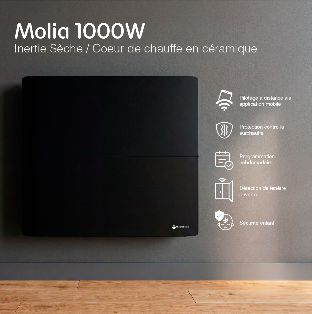 Radiateur électrique connecté 1000W double système de chauffe horizontal Noir Molia